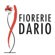 Fiorerie Dario, Castelfranco Veneto orari di apertura
