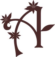Anice B&B, Roma orari di apertura