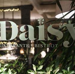 Daisy Ristorante Bistrot, Modena orari di apertura