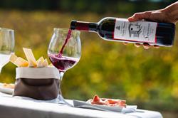 Fratta Minore Azienda VitiVinicola, Castel San Pietro Terme orari di apertura