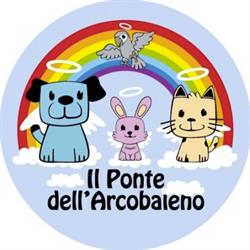 Il Ponte dell'Arcobaleno, Barletta orari di apertura