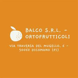 Balco S.r.l. - Ortofrutticoli, Dicomano orari di apertura