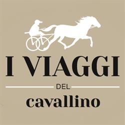 I VIAGGI DEL CAVALLINO, Borgo a buggiano orari di apertura