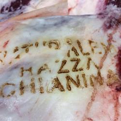 Macelleria Vittozzi Antonio Steak House, Napoli orari di apertura