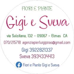 Fiori e Piante, Elmas orari di apertura