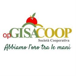 OP Gisacoop, Vittoria orari di apertura