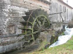 Az. Agr. Biologica "A Roda dea Sega" di Antonio Berti, San Martino di Lupari orari di apertura