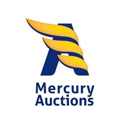 MERCURY AUCTIONS srl, Cazzago San Martino orari di apertura
