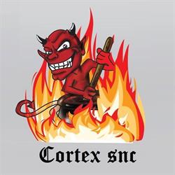CORTEX Snc Pellet - Legna da ardere - Stufe, Busto Garolfo orari di apertura