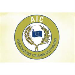 Caf Aic - Patronato Inpal - Euroimbragri, Palmi orari di apertura