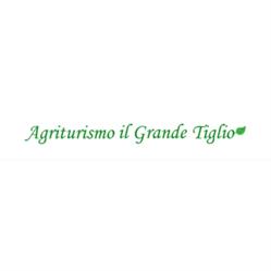 Cascina Virginia di Topino Cristina, Vigliano d'Asti orari di apertura