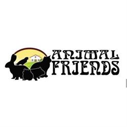 Animal Friends di Francesca Scaletta, Carini orari di apertura