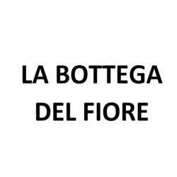 La Bottega Del Fiore, Matelica orari di apertura