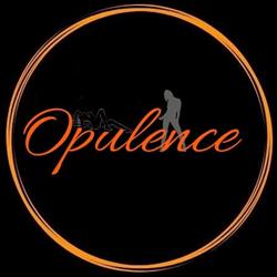 Opulence Sexy, Reggio Emilia orari di apertura