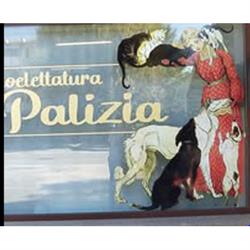 Palizia Toelettatura Cani e Gatti, Onè orari di apertura