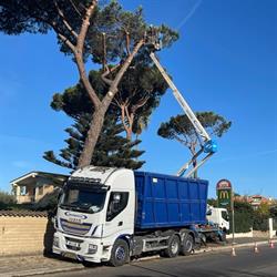 Ditta Tranquilli, Nettuno orari di apertura