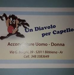 Un diavolo per capello di gori monica, Bibbiena orari di apertura