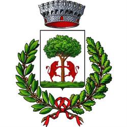 Comune di Vitulazio, orari di apertura