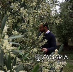 Azienda agricola Zagaria Natale, Andria orari di apertura