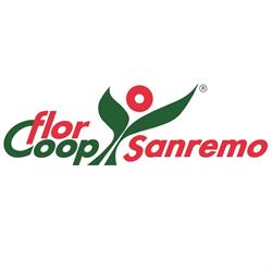 FLORCOOP SANREMO SOC COOP AGRICOLA, Taggia orari di apertura