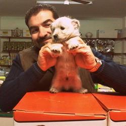 ZOO MARKET, San Severo orari di apertura