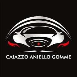 Team Aniel Gomme srl, Aversa orari di apertura