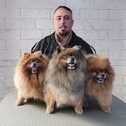 Dog Style Giovanni Bucchieri, Gela orari di apertura