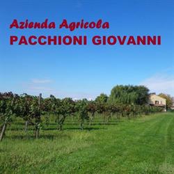 PACCHIONI GIOVANNI, Pegognaga orari di apertura