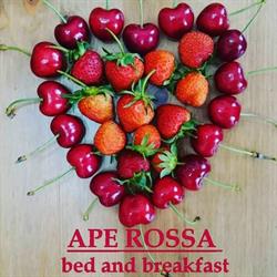 Ape Rossa B&B, Castellana Grotte orari di apertura
