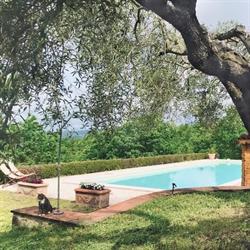 Agriturismo La Coccinella, San Venanzo orari di apertura