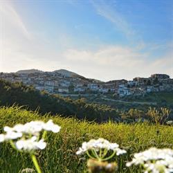 Casa albergo La Mariposa B&B, Nova Siri orari di apertura