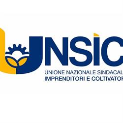 Caf Unsic Cremona, orari di apertura