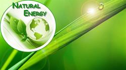 Natural Energy srl, Tivoli orari di apertura