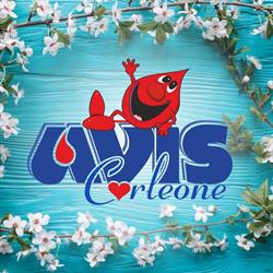 Avis Corleone, orari di apertura