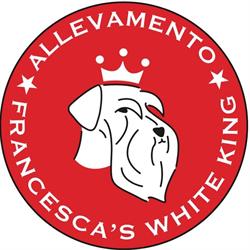 Francesca's WHITE KING allevamento e toelettatura, Barbaiana orari di apertura