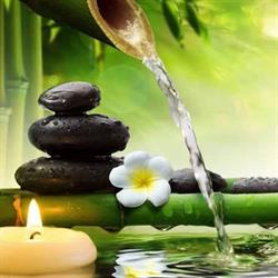 Shanti - studio di consulenza olistica, ayurvedica e naturopatica, Avellino orari di apertura
