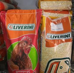 Agrifarm del Vulture, Rapolla orari di apertura