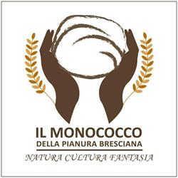 Pizzeria Monococco, Ghedi orari di apertura