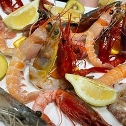 Osteria IL Trabaccolo, Follonica orari di apertura