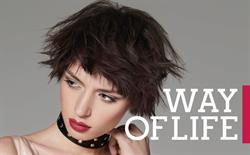 On Hair s.r.l, Vignola orari di apertura