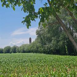 Azienda Agricola Rossetto, Silea orari di apertura