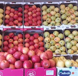 La Frutteria A&M, Thiene orari di apertura