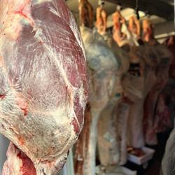 Macelleria Michelet Fabio Pieve del Grappa, Crespano Del Grappa - Orari di apertura