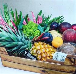 Il Frutteto, Bari orari di apertura