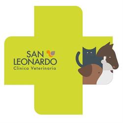Clinica Veterinaria SAN LEONARDO, Salerno orari di apertura