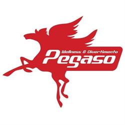 Palestra Pegaso, Vasto orari di apertura