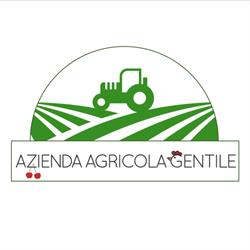 Az. Agricola Gentile, San Cipriano Picentino orari di apertura