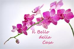 Il Bello Della Casa, Trescine orari di apertura