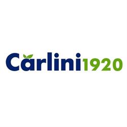 Carlini frutta Srl - Verona, orari di apertura