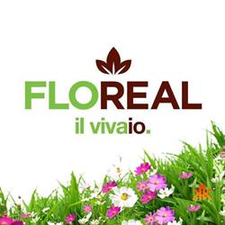 Floreal Il Vivaio, Fonte Nuova orari di apertura